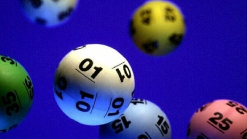 Tổng Hợp Đề Chập Là Những Con Gì | Tránh Nhầm Lẫn Phổ Biến