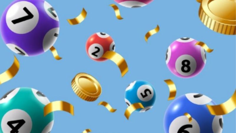 Tổng Hợp Đề Chập Là Những Con Gì | Tránh Nhầm Lẫn Phổ Biến