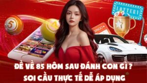 Đề Về 85 Hôm Sau Đánh Con Gì - Soi Cầu Thực Tế Dễ Áp Dụng
