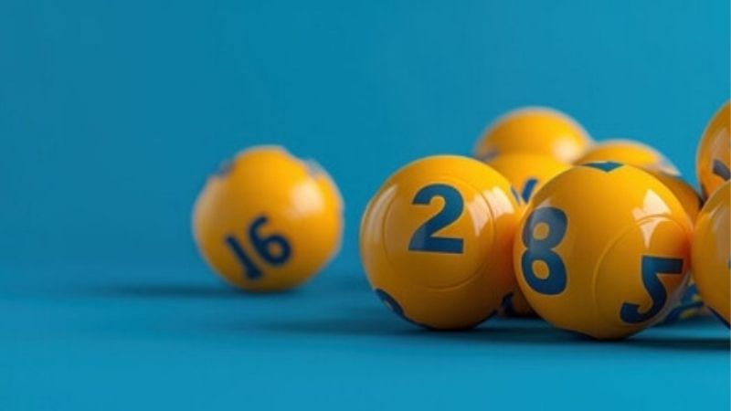 Kép Âm Kép Dương Là Gì | Vì Sao Người Chơi Hay Hiểu Sai